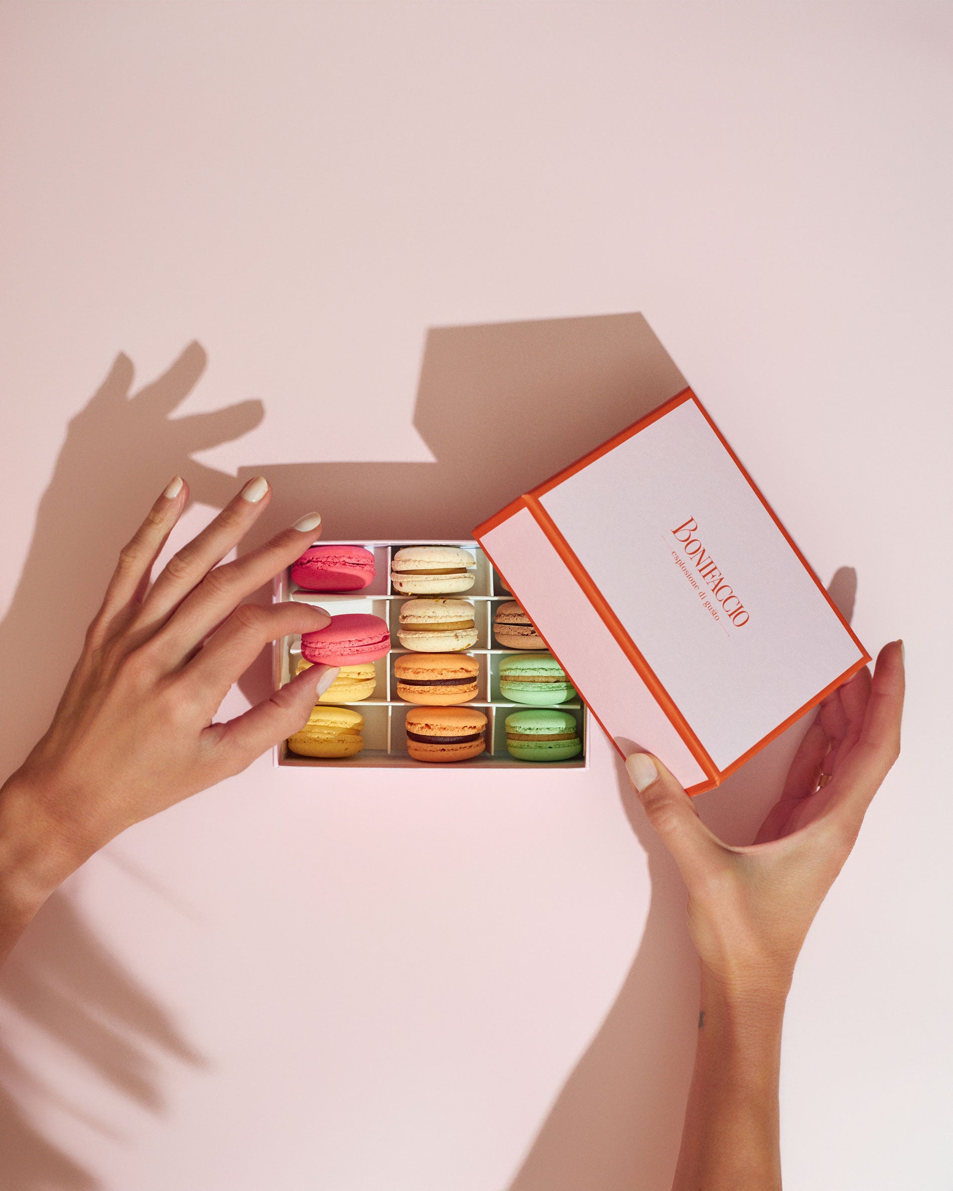 Caja Variada de 12 Macarons