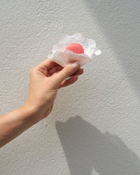 Macaron de Frambuesa